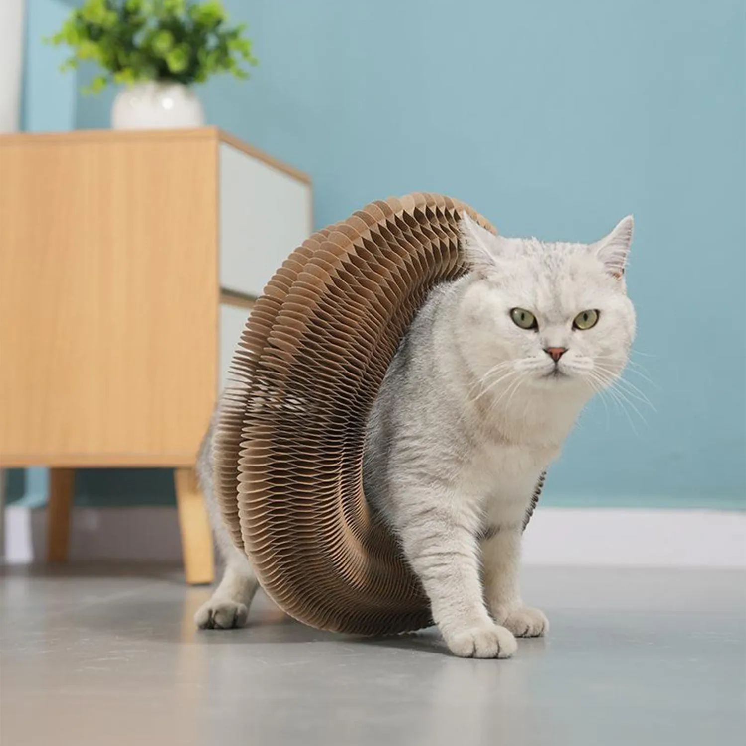 Accordion Cat Scratching Board Corrugated Paper Fun Transformation Cat Toy