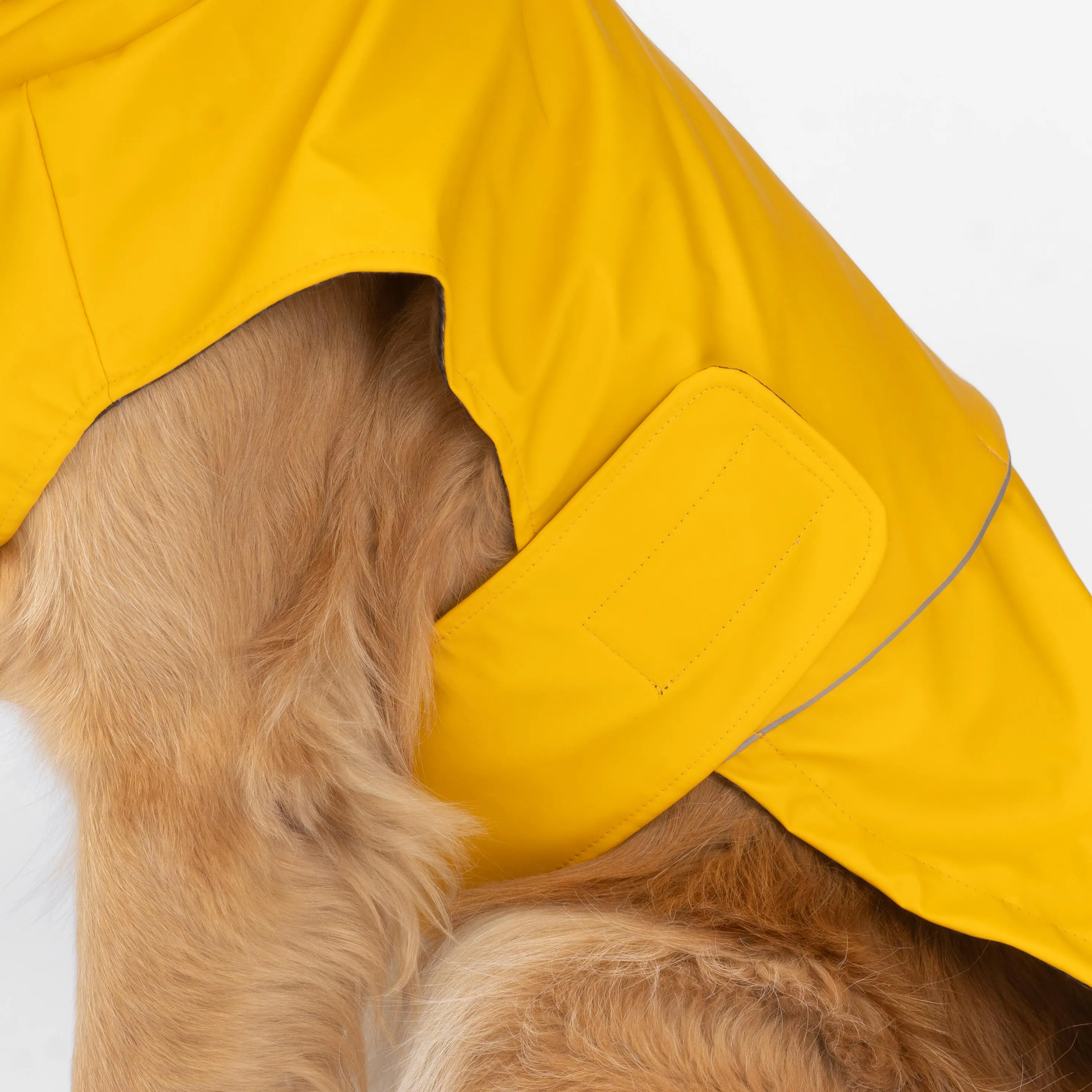 Aden 2.0 Dog Raincoat Yellow – Stylish, Waterproof, Adjustable, with Reflective Piping & Sun Alert Patch