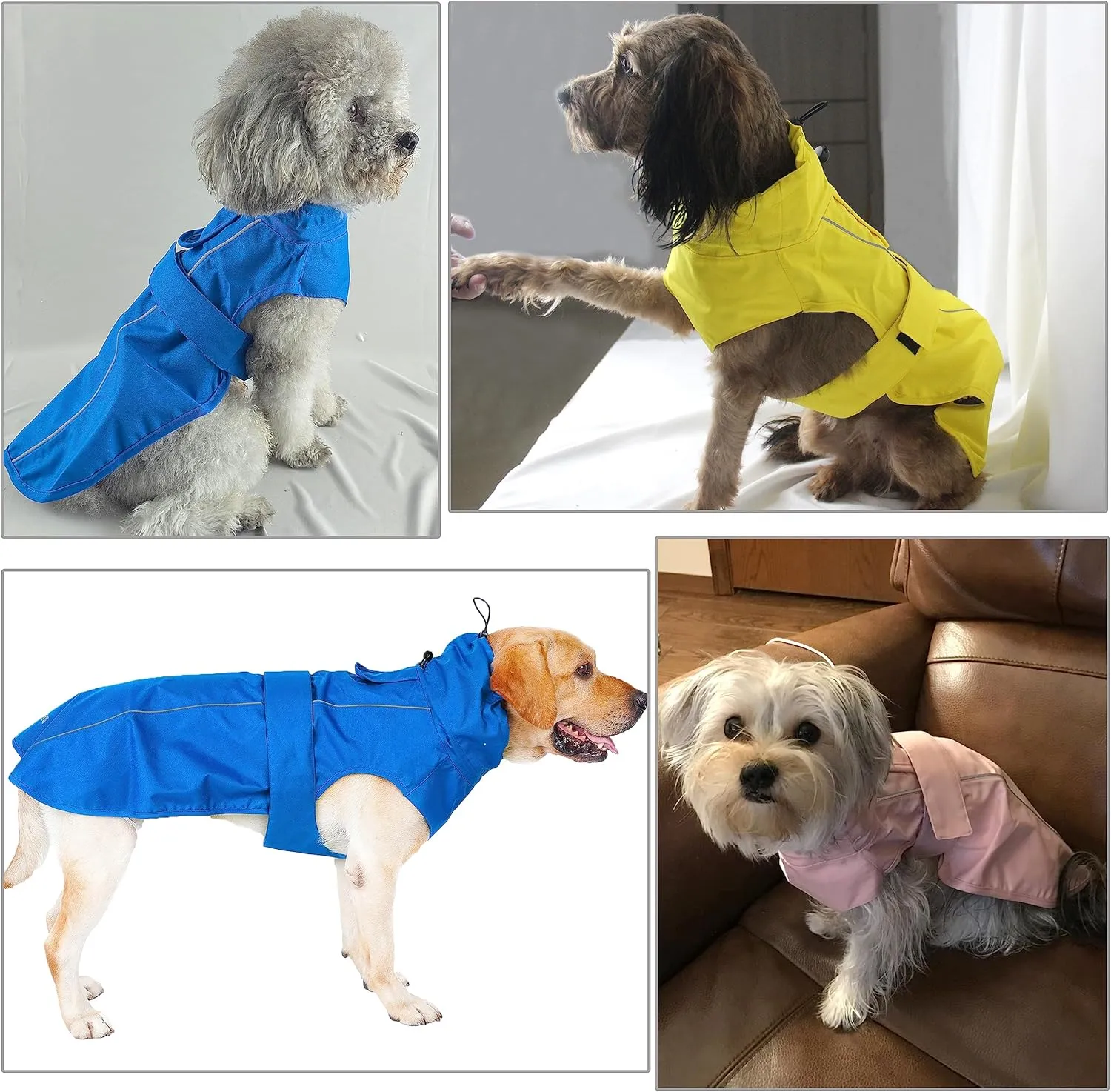 Adjustable Waterproof Dog Raincoat for Dogs,Lightweight Pet Rain Jacket Puppy Clothes with Reflective Strip for Small Medium Large Dogs(Large,Gold Cheery Blossoms Pink)