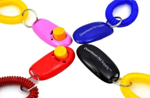 Big Button Training Clickers with Wrist Band