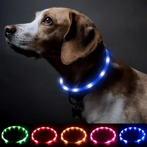 BSEEN Light Up Dog Collar, Cuttable LED Dog Collar Rechargeable Puppy Collar Glowing Safety Dog Walking Lights for Small Medium Large Dogs (Blue)