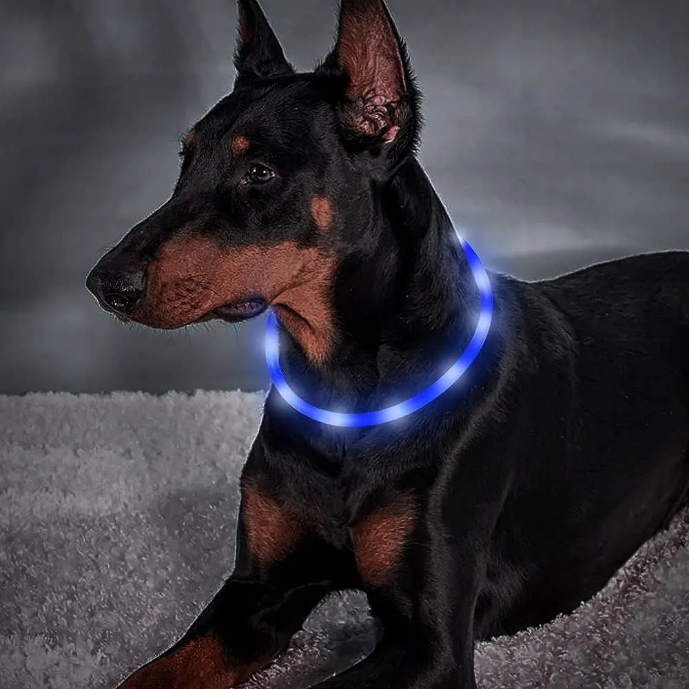 BSEEN Light Up Dog Collar, Cuttable LED Dog Collar Rechargeable Puppy Collar Glowing Safety Dog Walking Lights for Small Medium Large Dogs (Blue)
