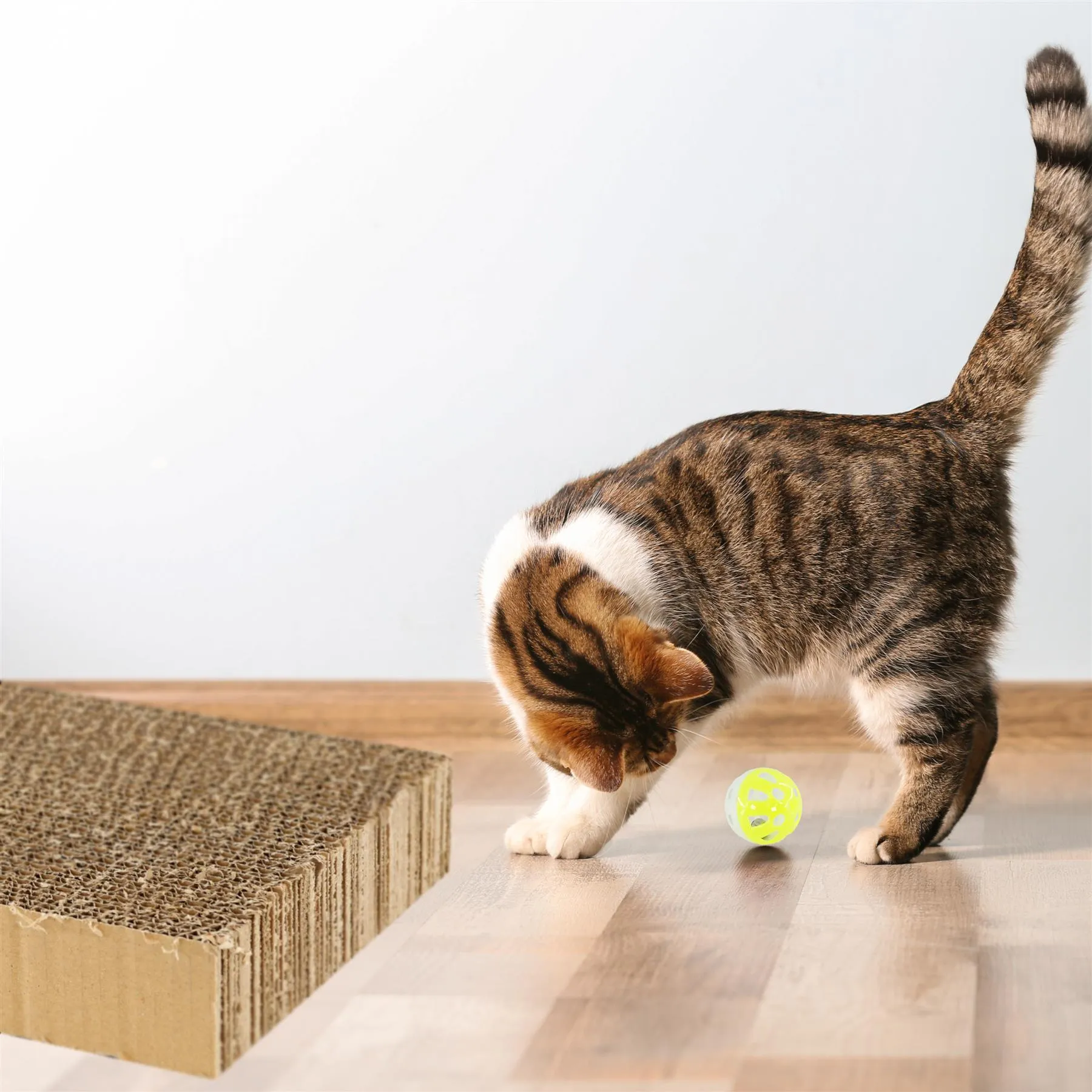 Cat Box Scratcher Scratching Pad