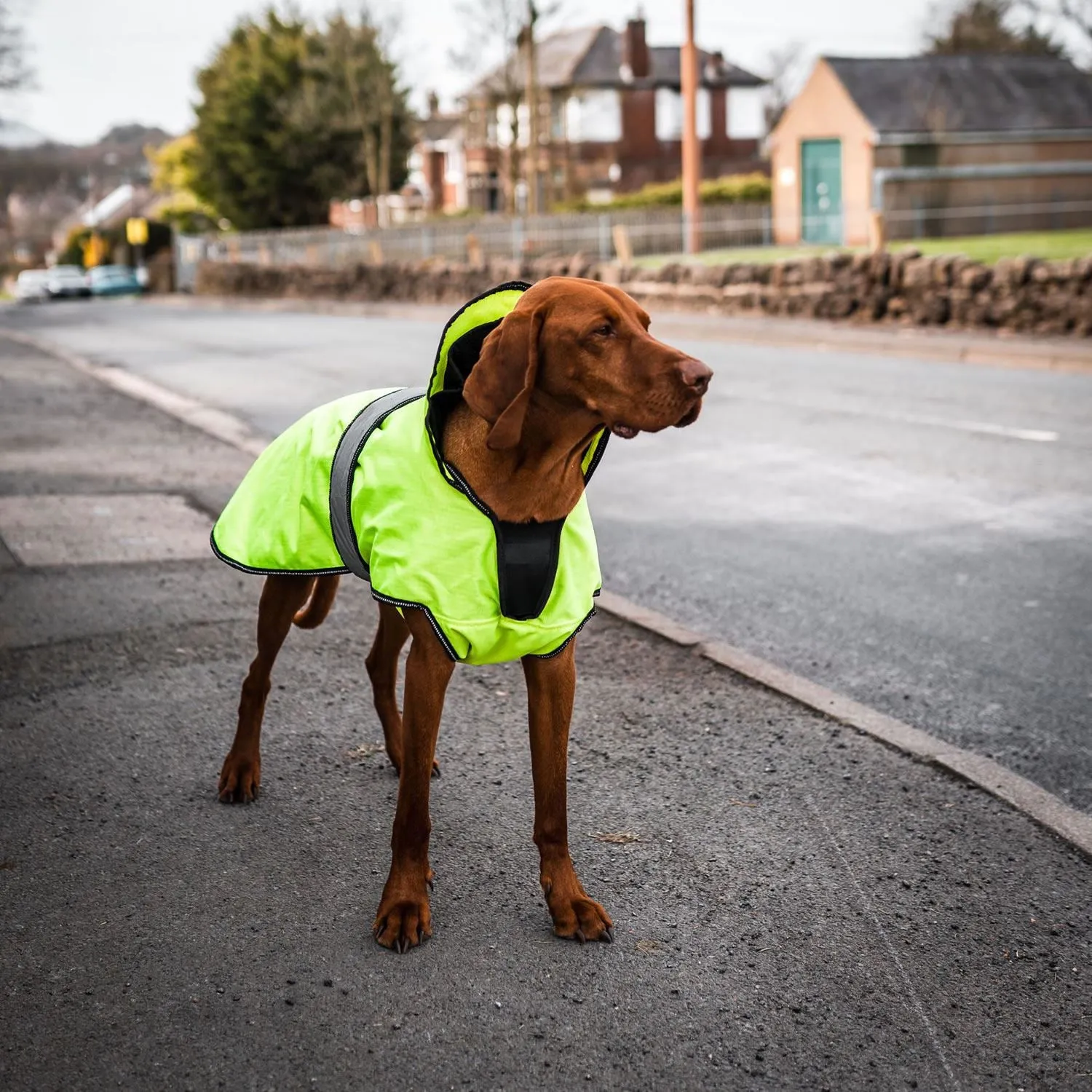 Danish Design Ultimate 2-In-1 Dog Coat Hi Vis