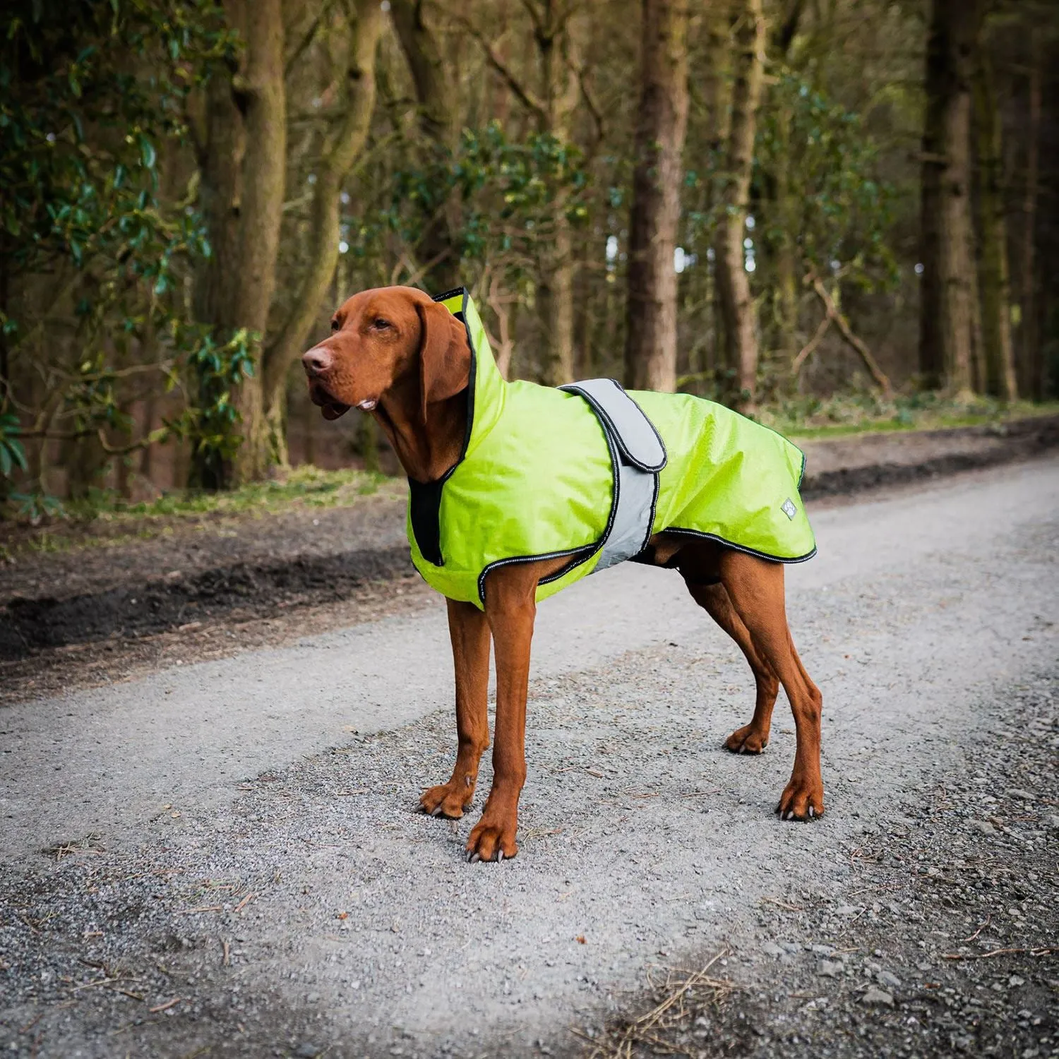 Danish Design Ultimate 2-In-1 Dog Coat Hi Vis