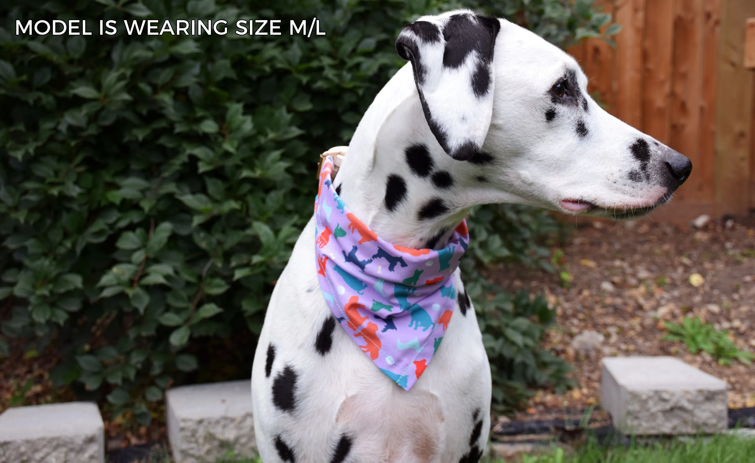 Dog Bandana - Navy Floral Cotton Dog Scarf