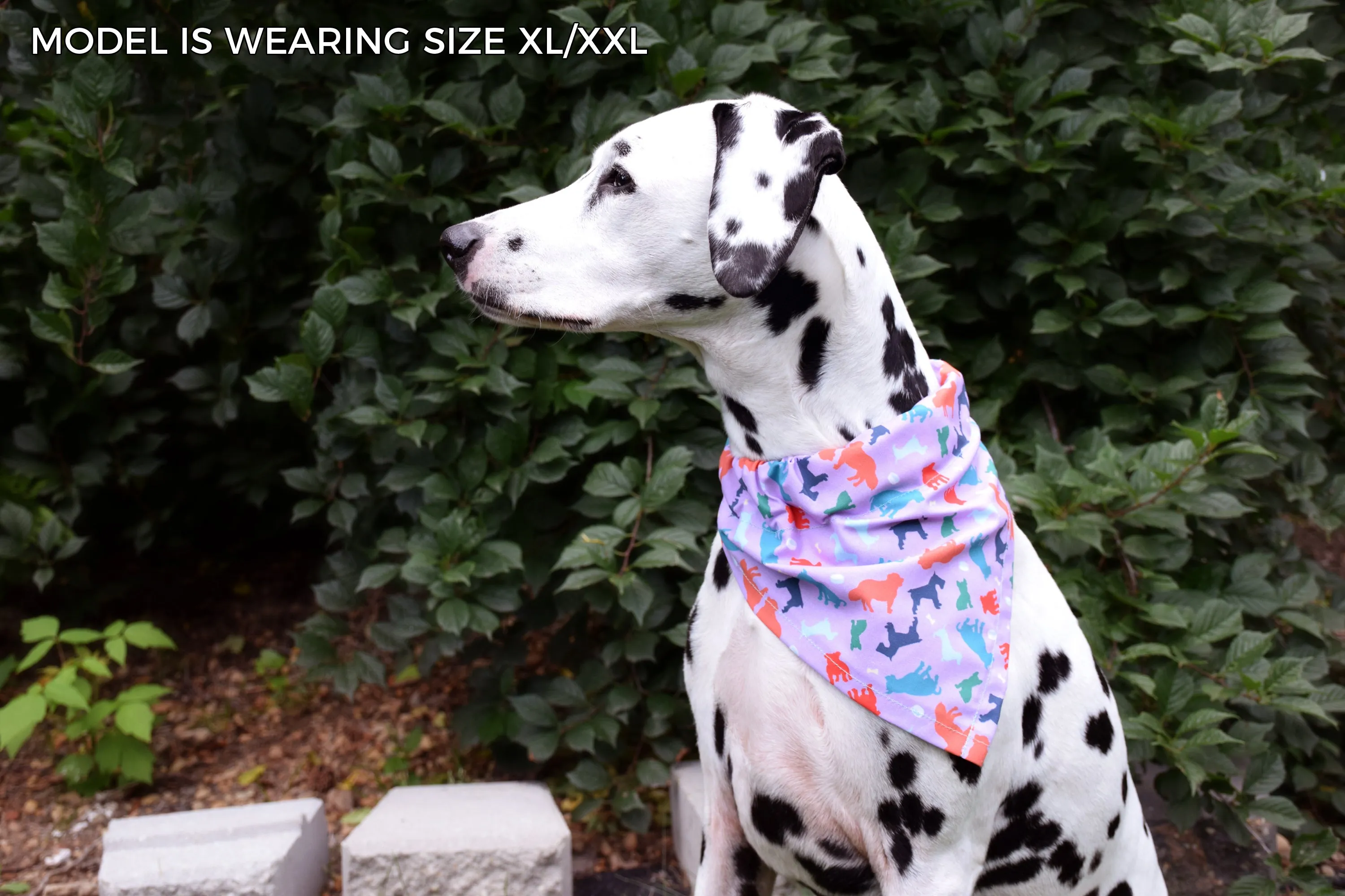 Dog Bandana - Navy Floral Cotton Dog Scarf