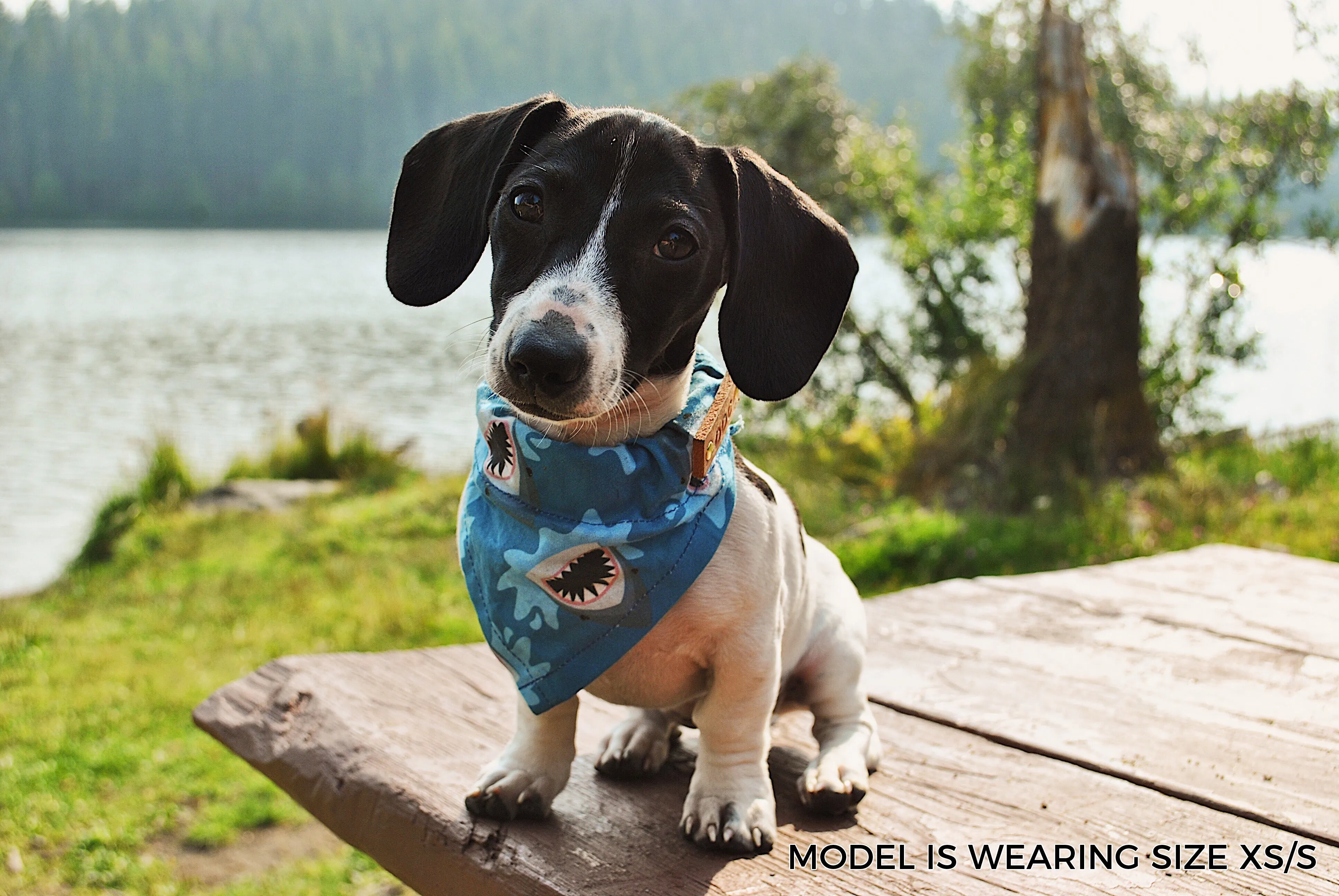 Dog Bandana - Navy Floral Cotton Dog Scarf