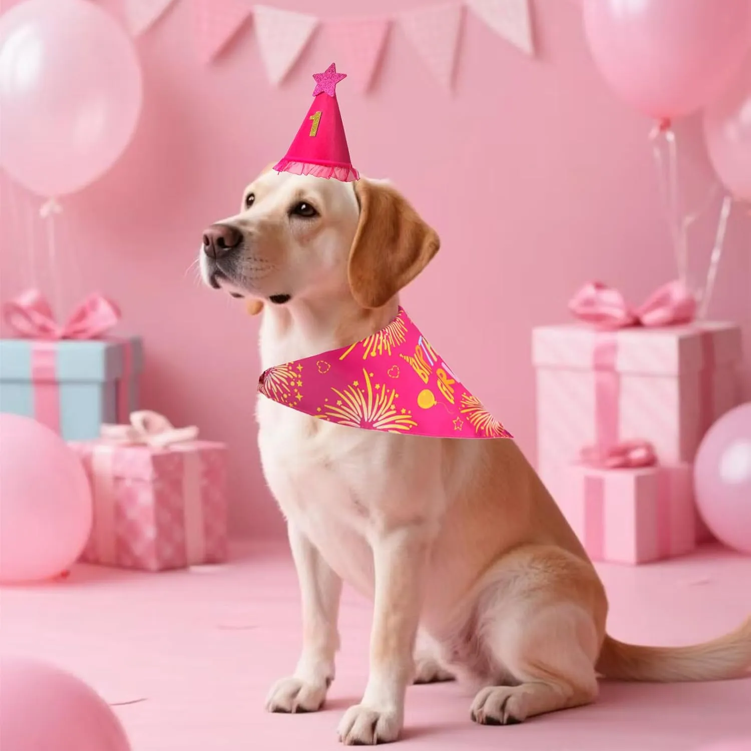 Dog Birthday Bandana Set Rose Pink, Dog Birthday Party Supplies with Hat Bandana Numbers for Small Girl Pets Puppy