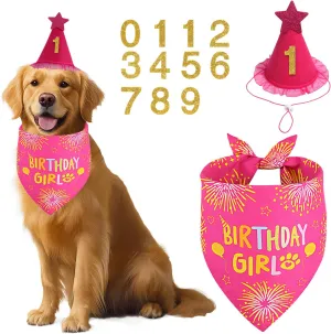 Dog Birthday Bandana Set Rose Pink, Dog Birthday Party Supplies with Hat Bandana Numbers for Small Girl Pets Puppy
