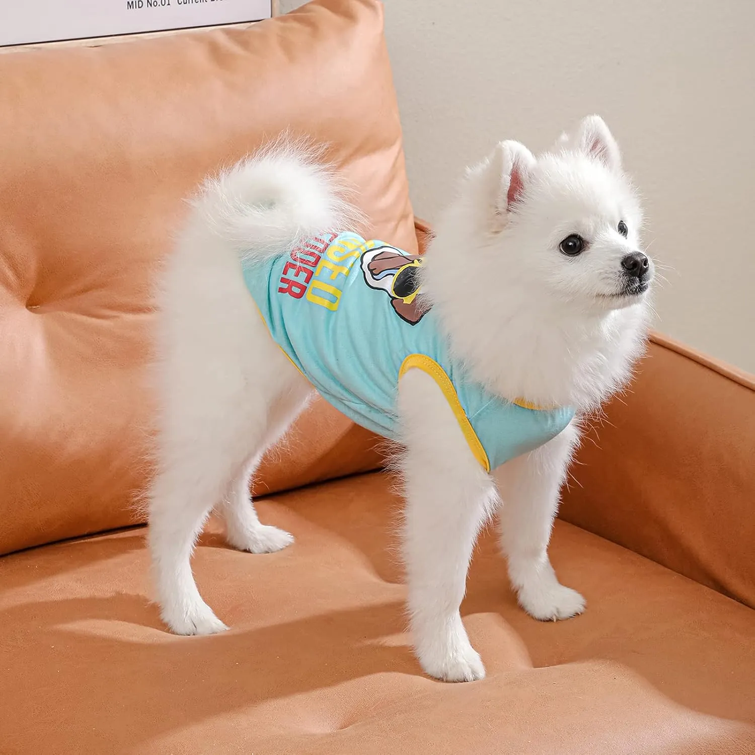 Dog Shirts Pet Printed Clothes with Funny Letters Summer Pet T Shirts Cool Puppy Shirts Breathable Dog Outfit Soft Dog Sweatshirt for Pet Dogs Cats (Large, Pattern-5)