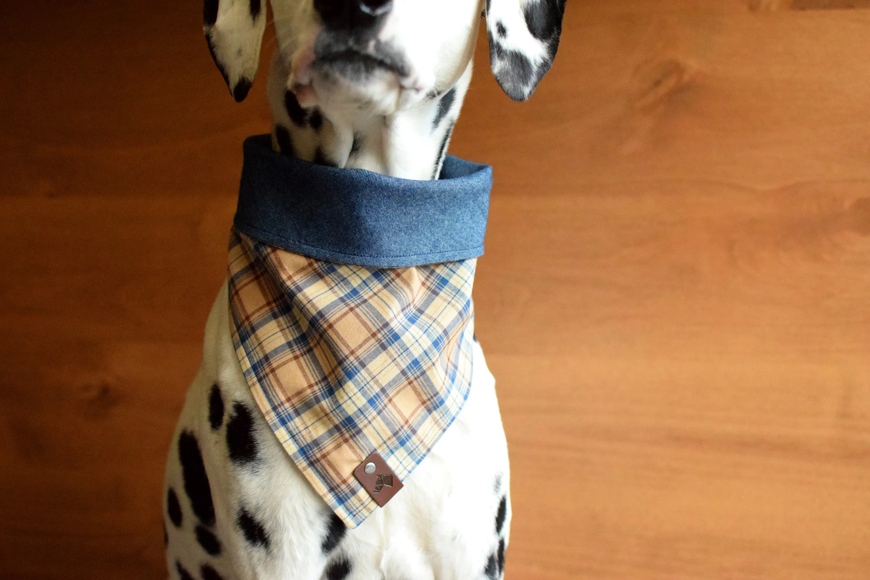 FALKIRK Reversible Cotton Dog Bandana - Snap/Tie On Cotton Scarf