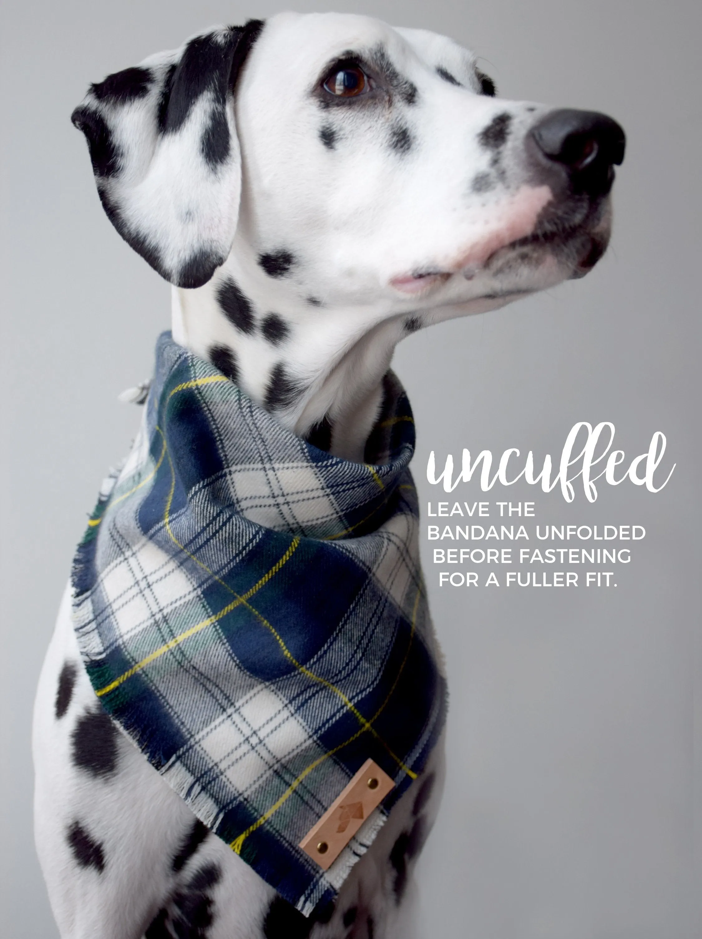 FALKIRK Reversible Cotton Dog Bandana - Snap/Tie On Cotton Scarf
