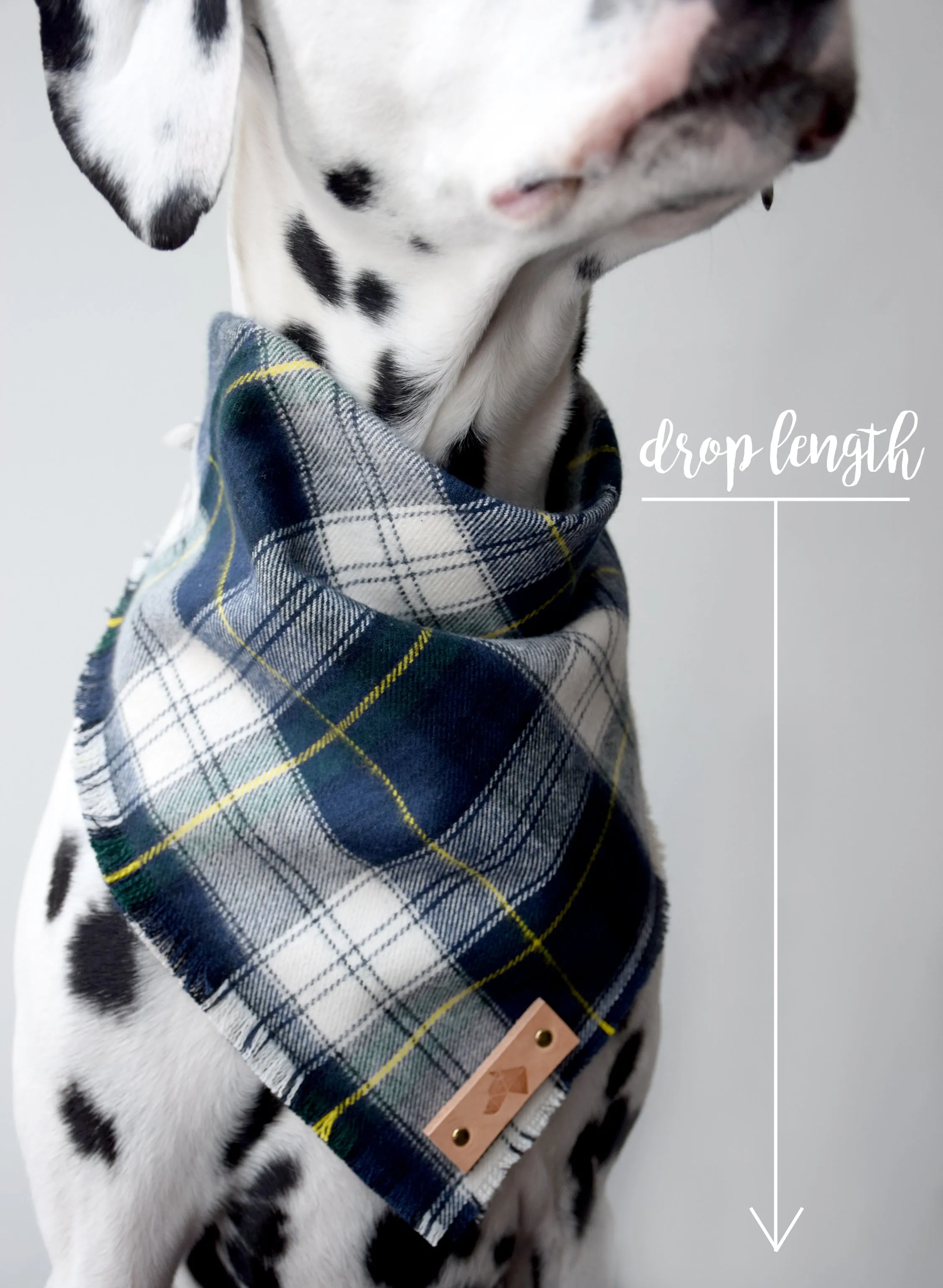 FALKIRK Reversible Cotton Dog Bandana - Snap/Tie On Cotton Scarf