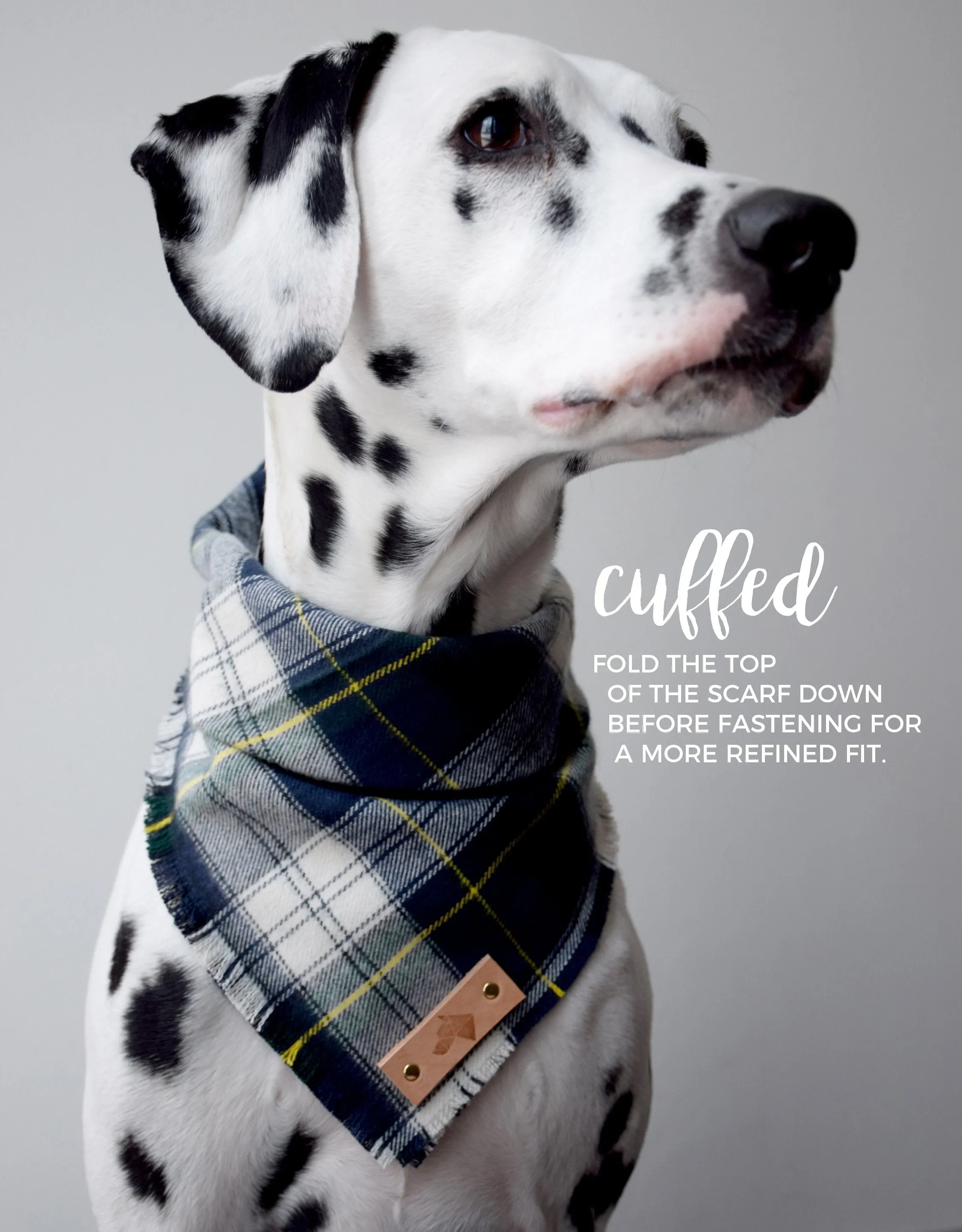 FALKIRK Reversible Cotton Dog Bandana - Snap/Tie On Cotton Scarf