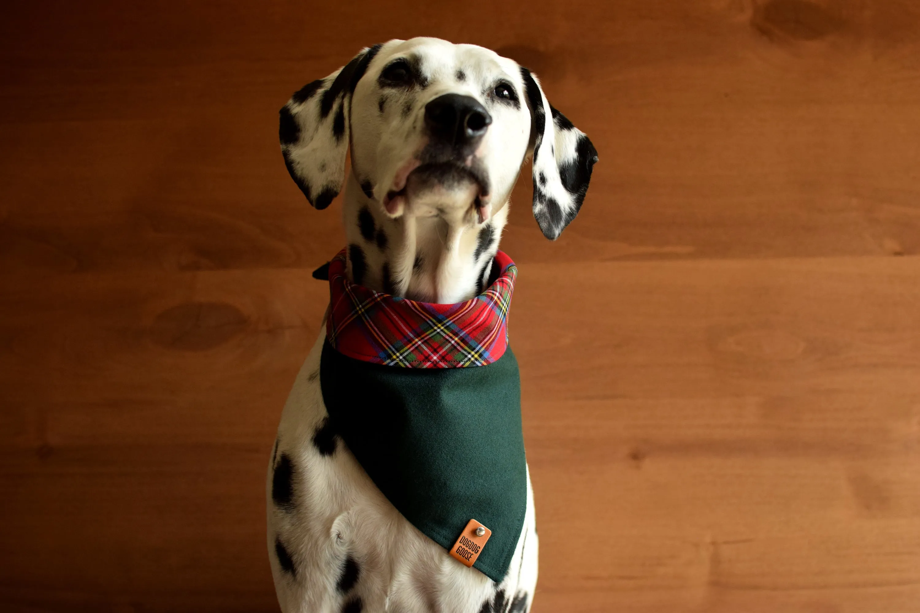 FALKIRK Reversible Cotton Dog Bandana - Snap/Tie On Cotton Scarf