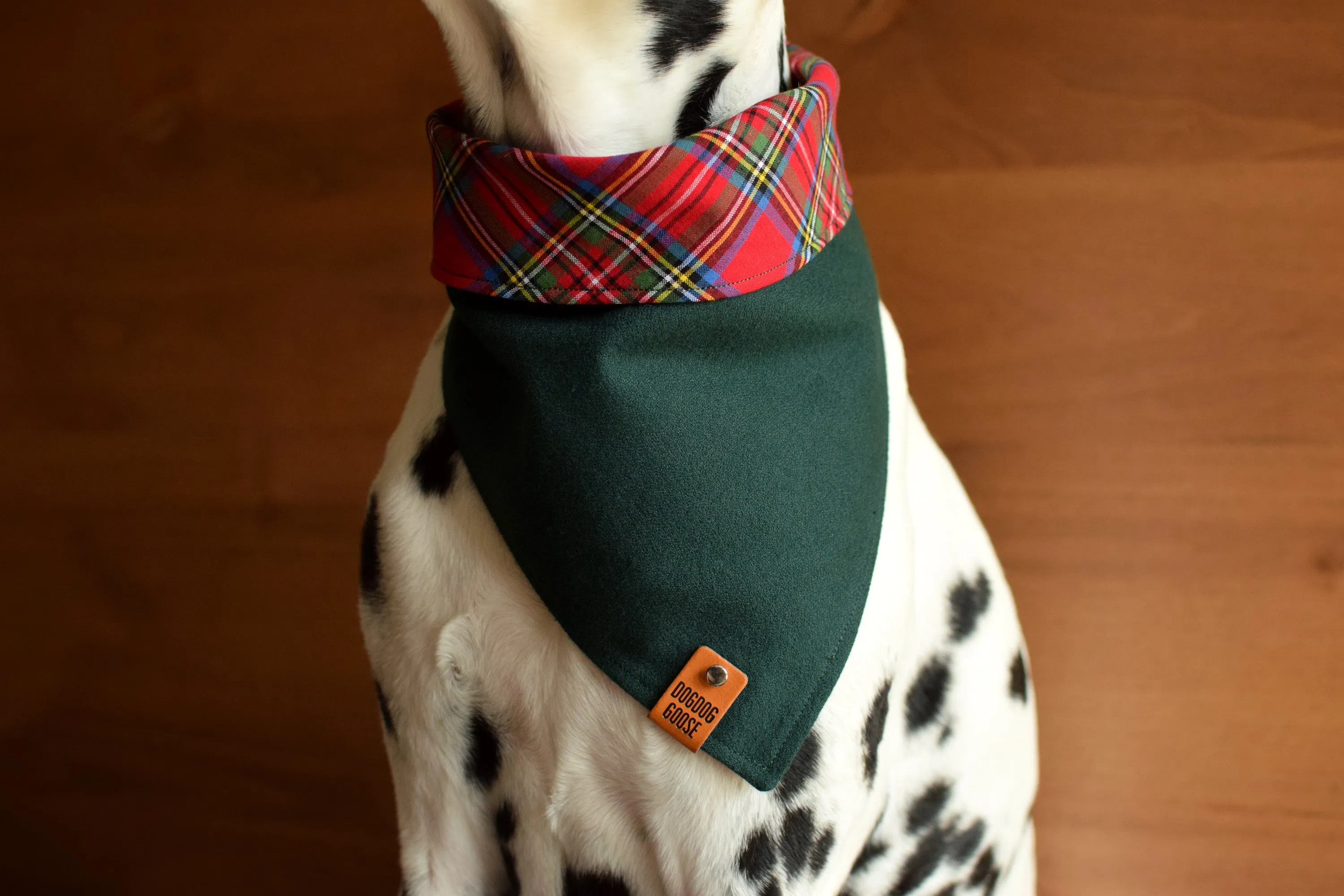 FALKIRK Reversible Cotton Dog Bandana - Snap/Tie On Cotton Scarf