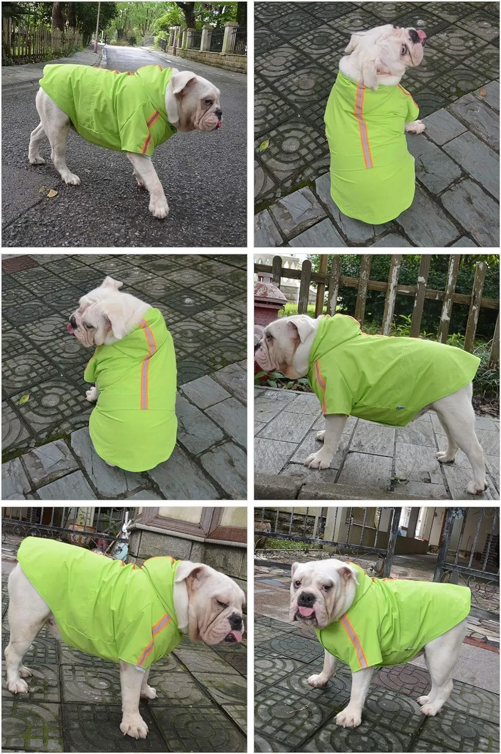 Fashion Hooded Pet Dog Raincoat, Lightweight Dog Rain Jacket Zipper Closure Rain Poncho with Reflective Strip for Small Medium Large Dogs Green XS