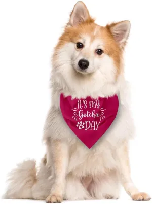 It's My Gotcha Day Dog Bandana, Deep Pink Dog Bandana, Pet Dog Scarf Accessories, Pet Dog Triangle Scarf, Funny Cute Dog Bandana, Dog Bandana for Small Medium Large Dogs, Dog Bandana Pet Scarf (E16)