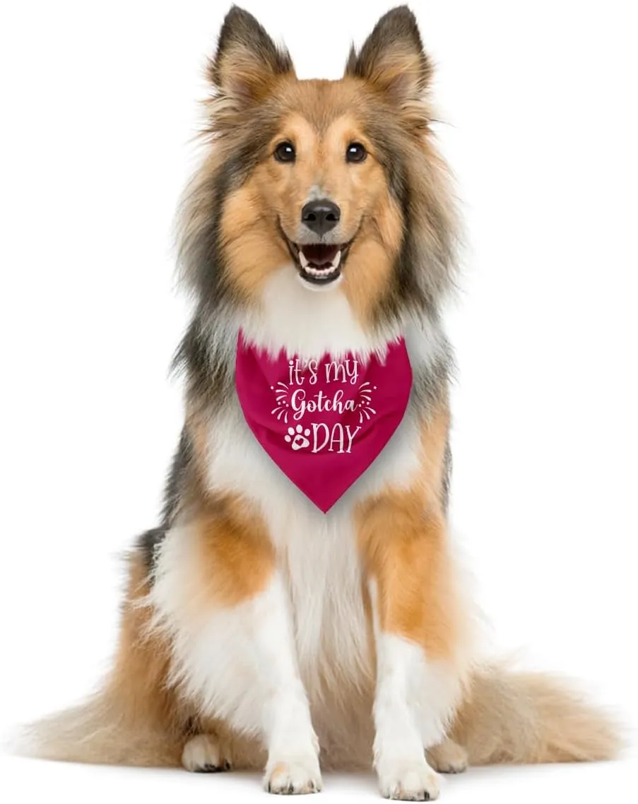 It's My Gotcha Day Dog Bandana, Deep Pink Dog Bandana, Pet Dog Scarf Accessories, Pet Dog Triangle Scarf, Funny Cute Dog Bandana, Dog Bandana for Small Medium Large Dogs, Dog Bandana Pet Scarf (E16)