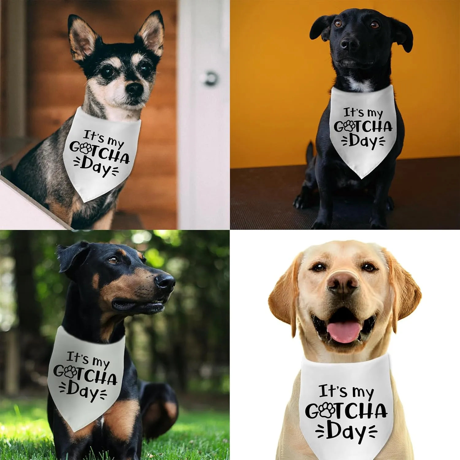 It's My Gotcha Day Mother Puppers Happy Adoption Day Dog Bandana Puppy Scarf Bibs Photo Props Accessories for Pet Lovers Gifts