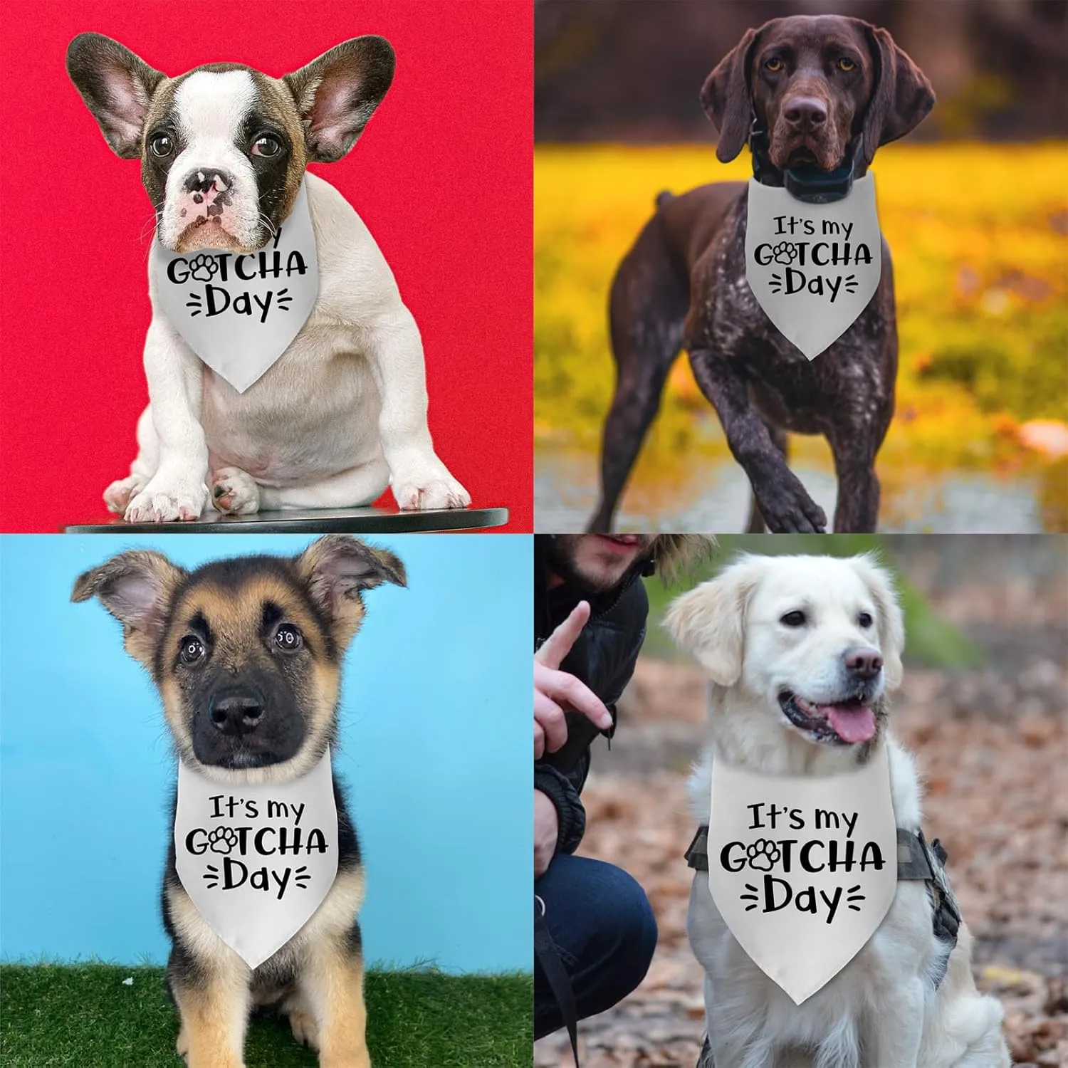 It's My Gotcha Day Mother Puppers Happy Adoption Day Dog Bandana Puppy Scarf Bibs Photo Props Accessories for Pet Lovers Gifts