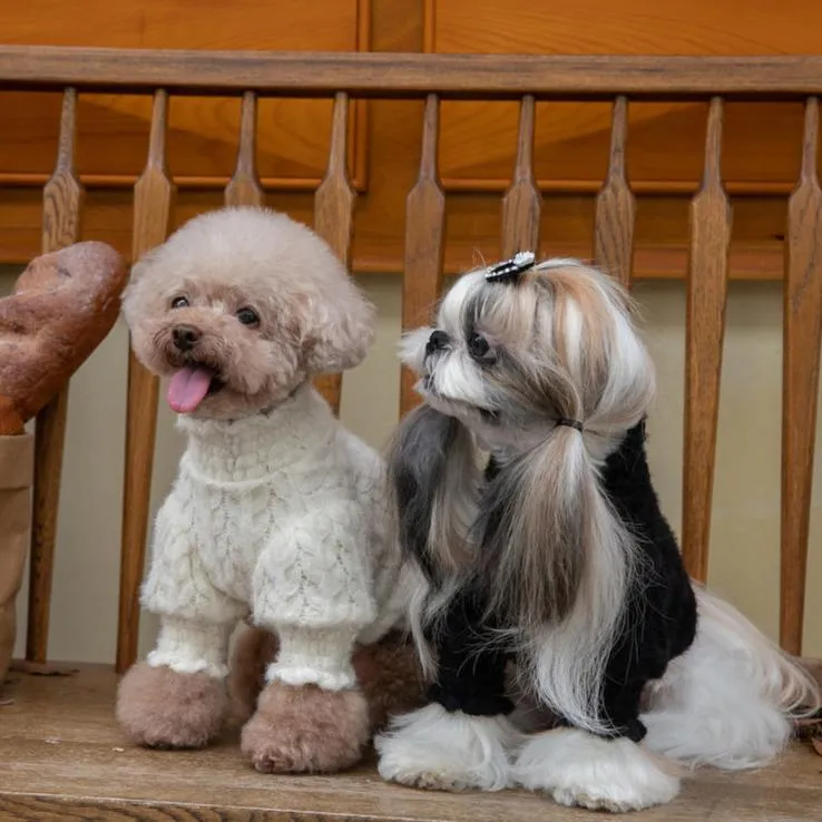 Lace Embroidered Puffy Sleeves Dog Cat Sweater
