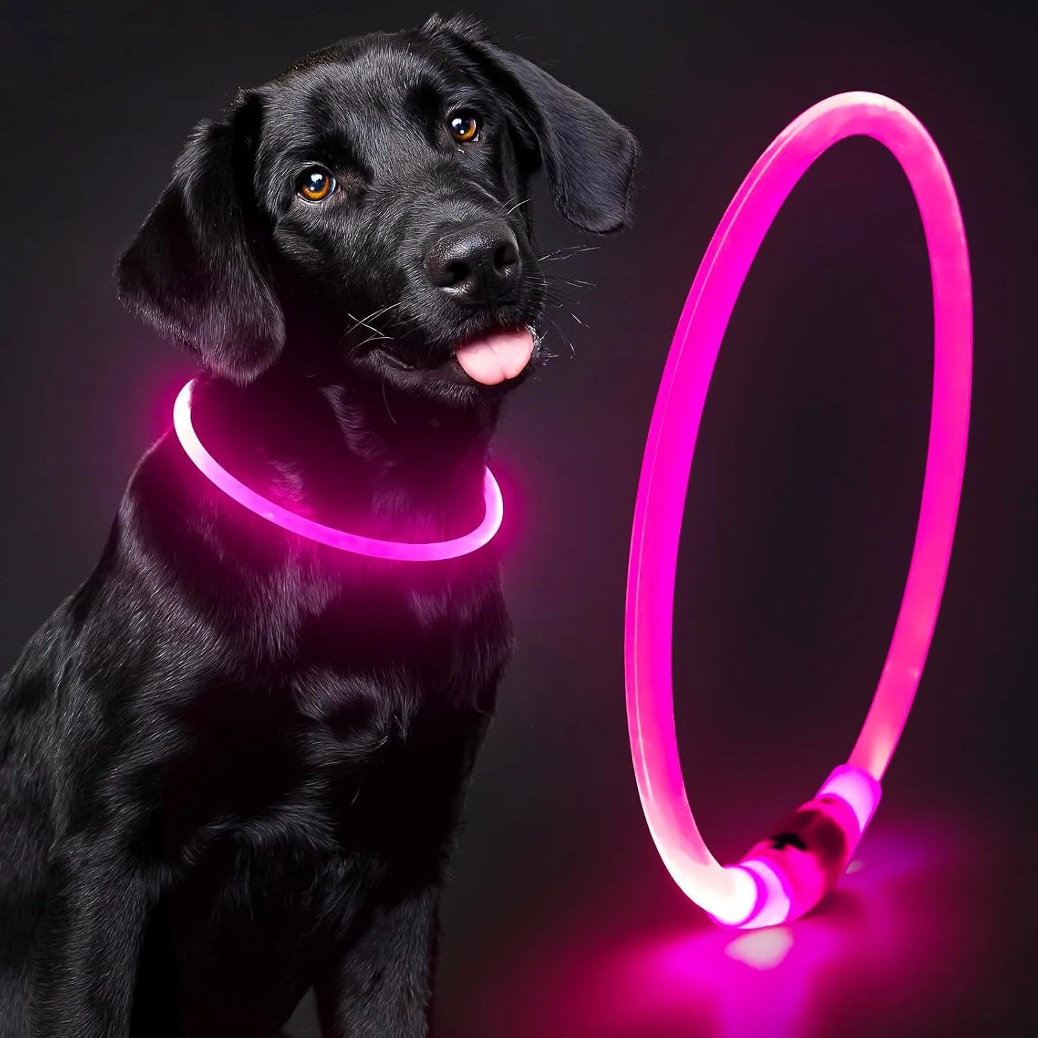 Light Up Dog Collar - Waterproof LED Pet Collar Rechargeable, TPU Cuttable Glow in The Dark Dog Lights for Night Walking (Pink)