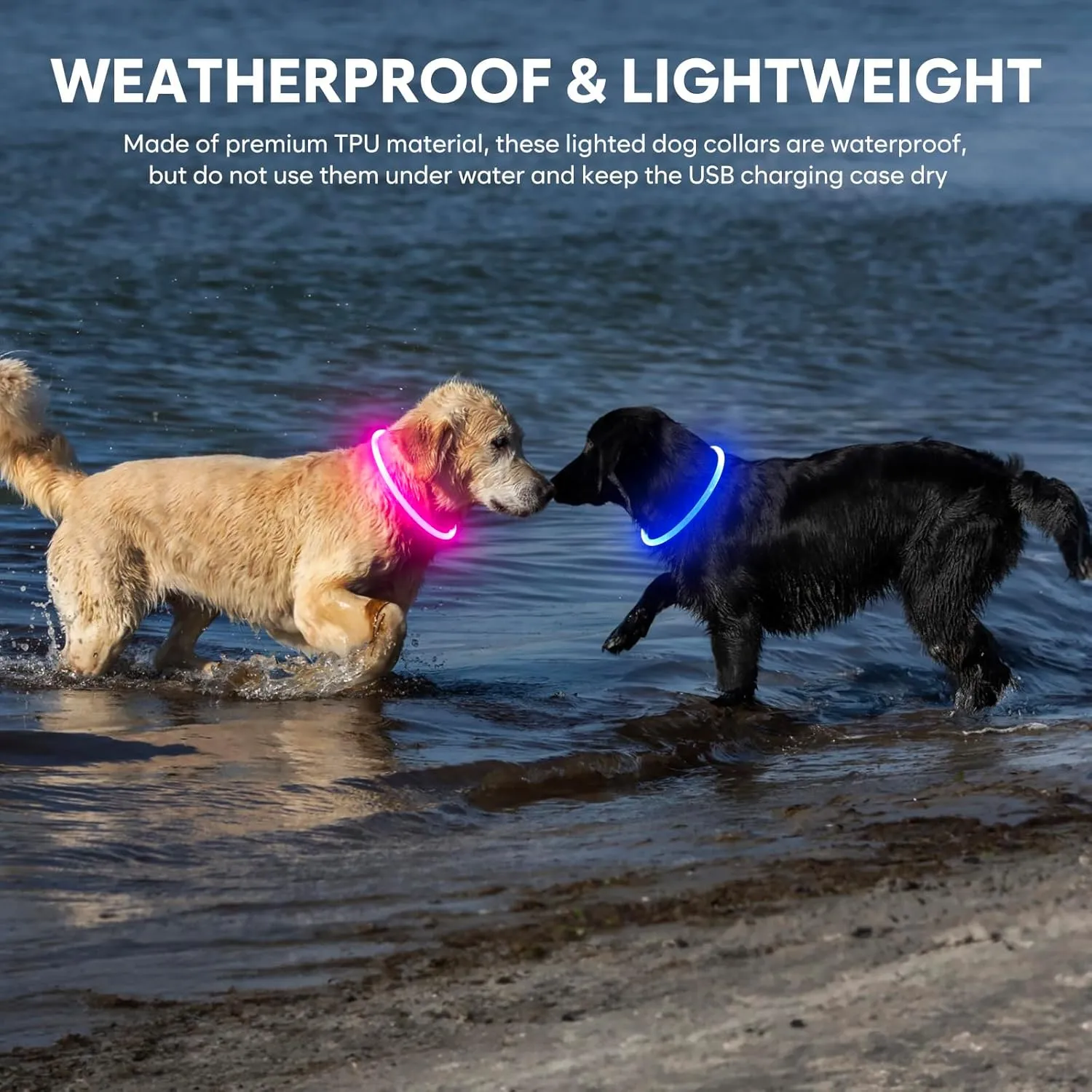 Light Up Dog Collar - Waterproof LED Pet Collar Rechargeable, TPU Cuttable Glow in The Dark Dog Lights for Night Walking (Pink)