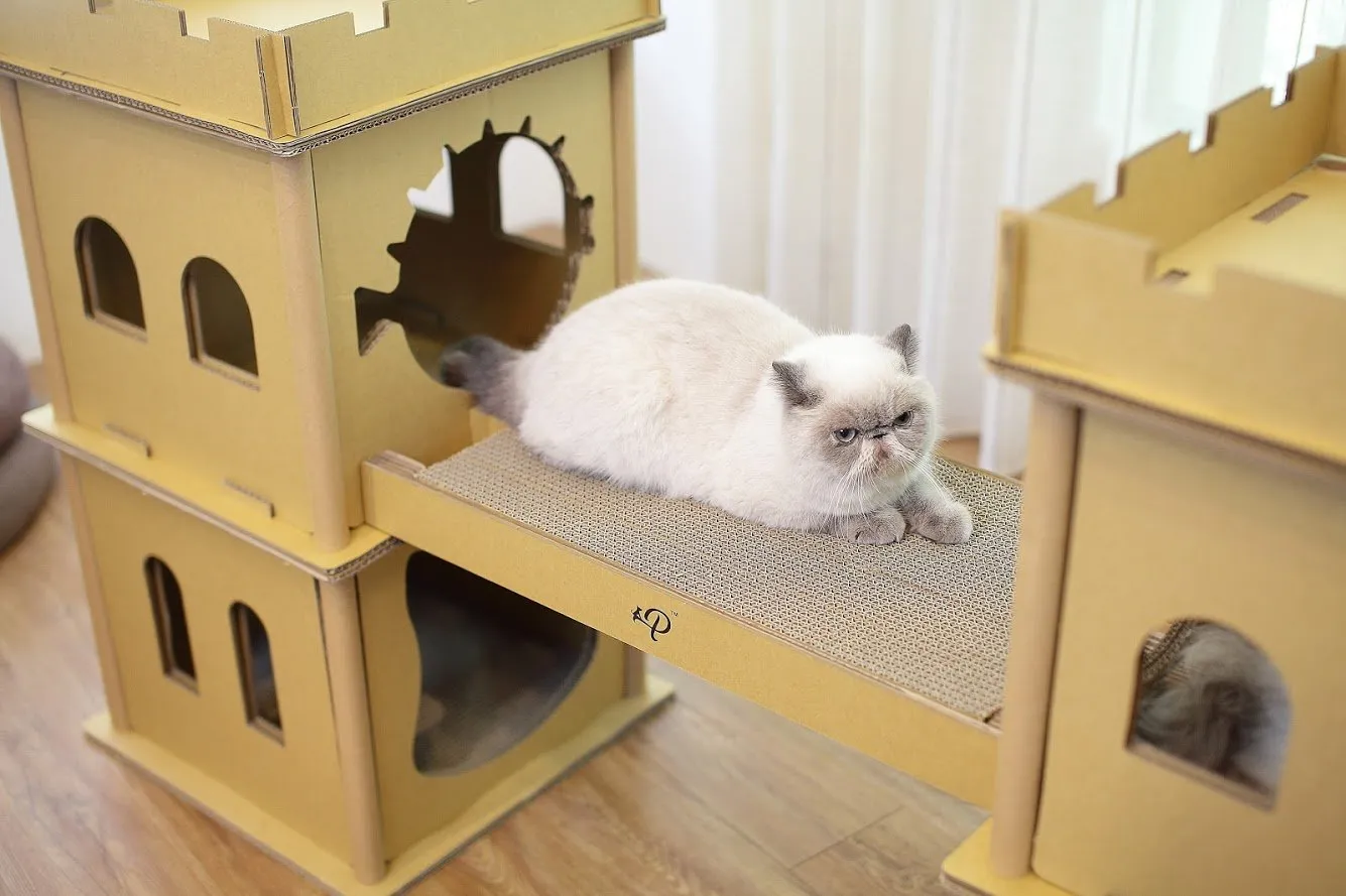 London Bridge Cat House: Safe, Sustainable, Fun, Non-Toxic, Sturdy, Easy Assembly, Eco-Friendly, 3 Levels, Multiple Scratch Boards, SUPPORTS UP TO 35 LBS