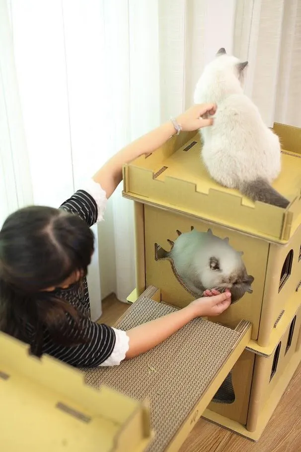 London Bridge Cat House: Safe, Sustainable, Fun, Non-Toxic, Sturdy, Easy Assembly, Eco-Friendly, 3 Levels, Multiple Scratch Boards, SUPPORTS UP TO 35 LBS