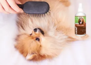 LUCAA  Pet Probiotic Coat Care 300ml Spray