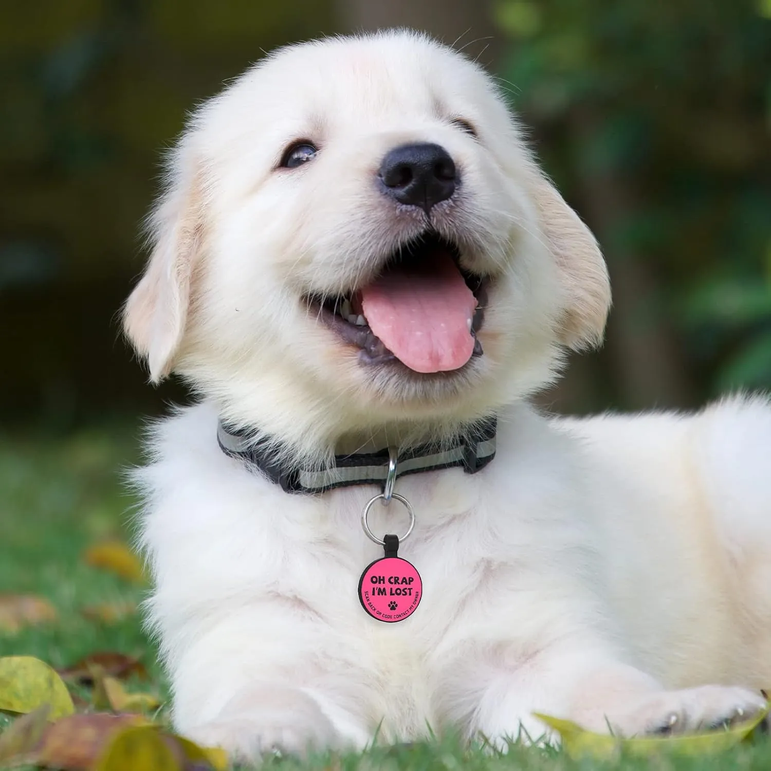 MYLUCKYTAG Silent Silicone QR Code Pet ID Tags Dog Tags - Pet Online Profile - Scan QR Receive Instant Pet Location Alert Email Pink