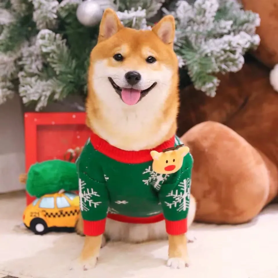Shiba Pomeranian Dog Clothes