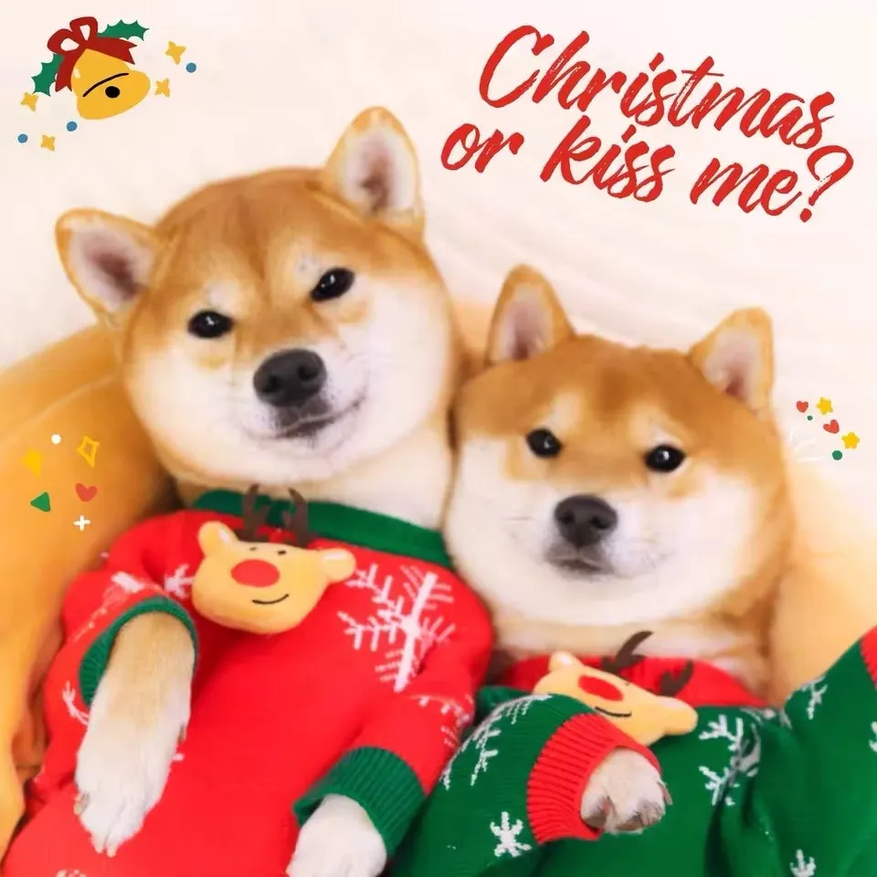 Shiba Pomeranian Dog Clothes