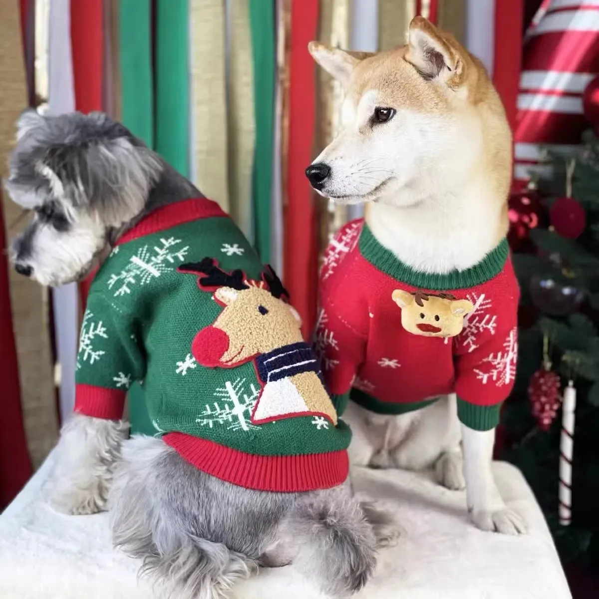 Shiba Pomeranian Dog Clothes