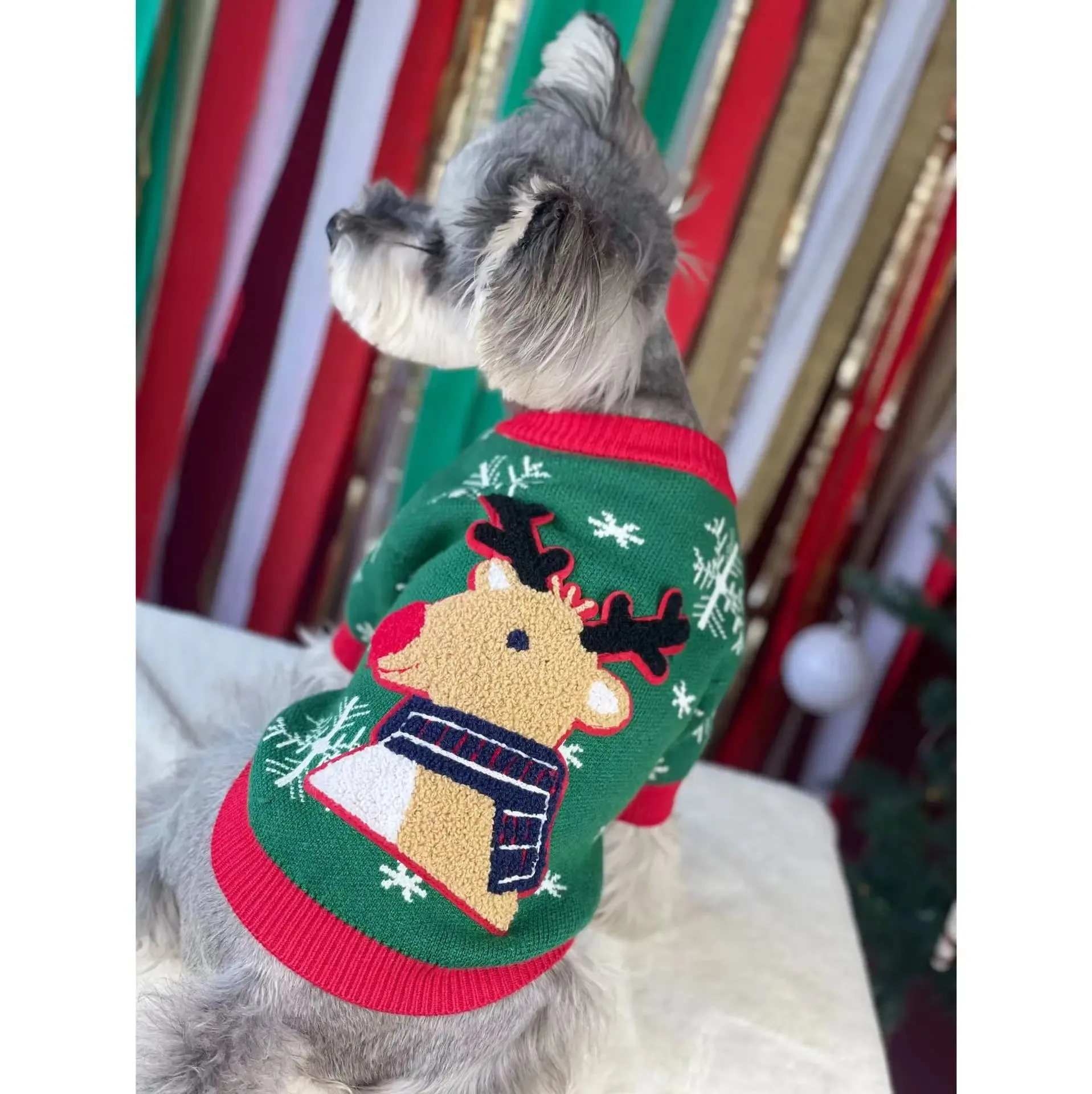 Shiba Pomeranian Dog Clothes