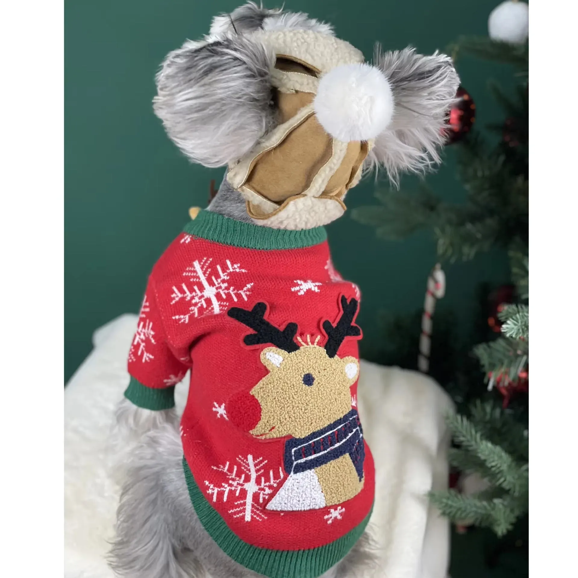 Shiba Pomeranian Dog Clothes