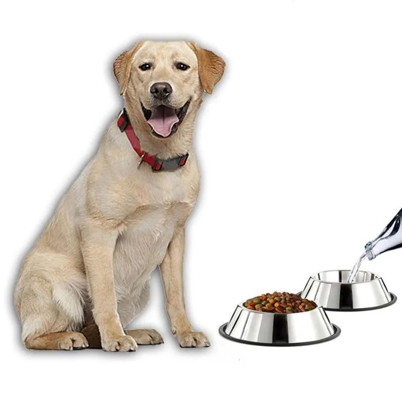 Stainless Steel Dog Food Bowl