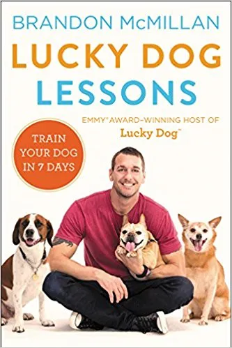 The Ultimate Dog Training Kit