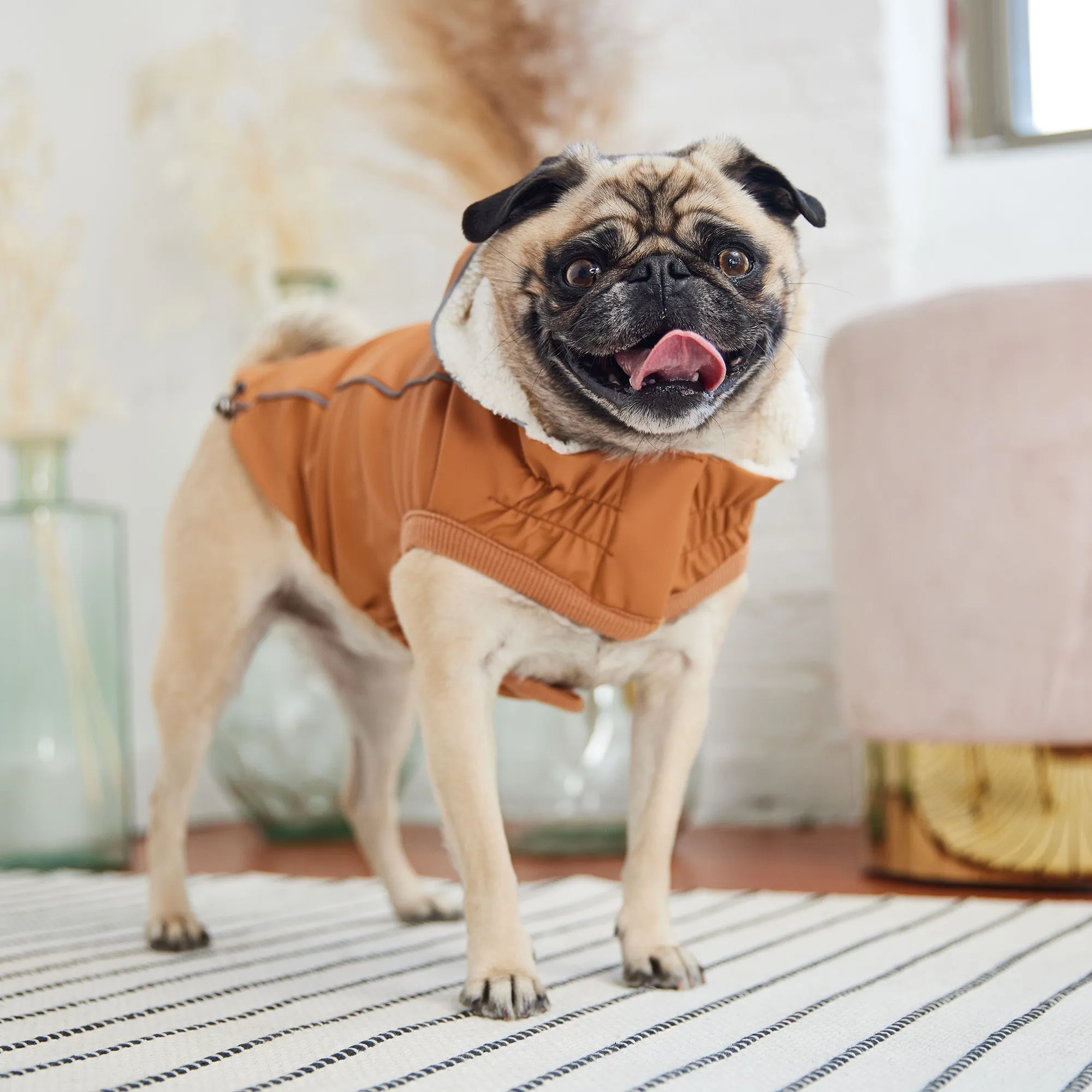 Thermal-Lined Hazel Raincoat – Rain & Cold Weather Defense in One