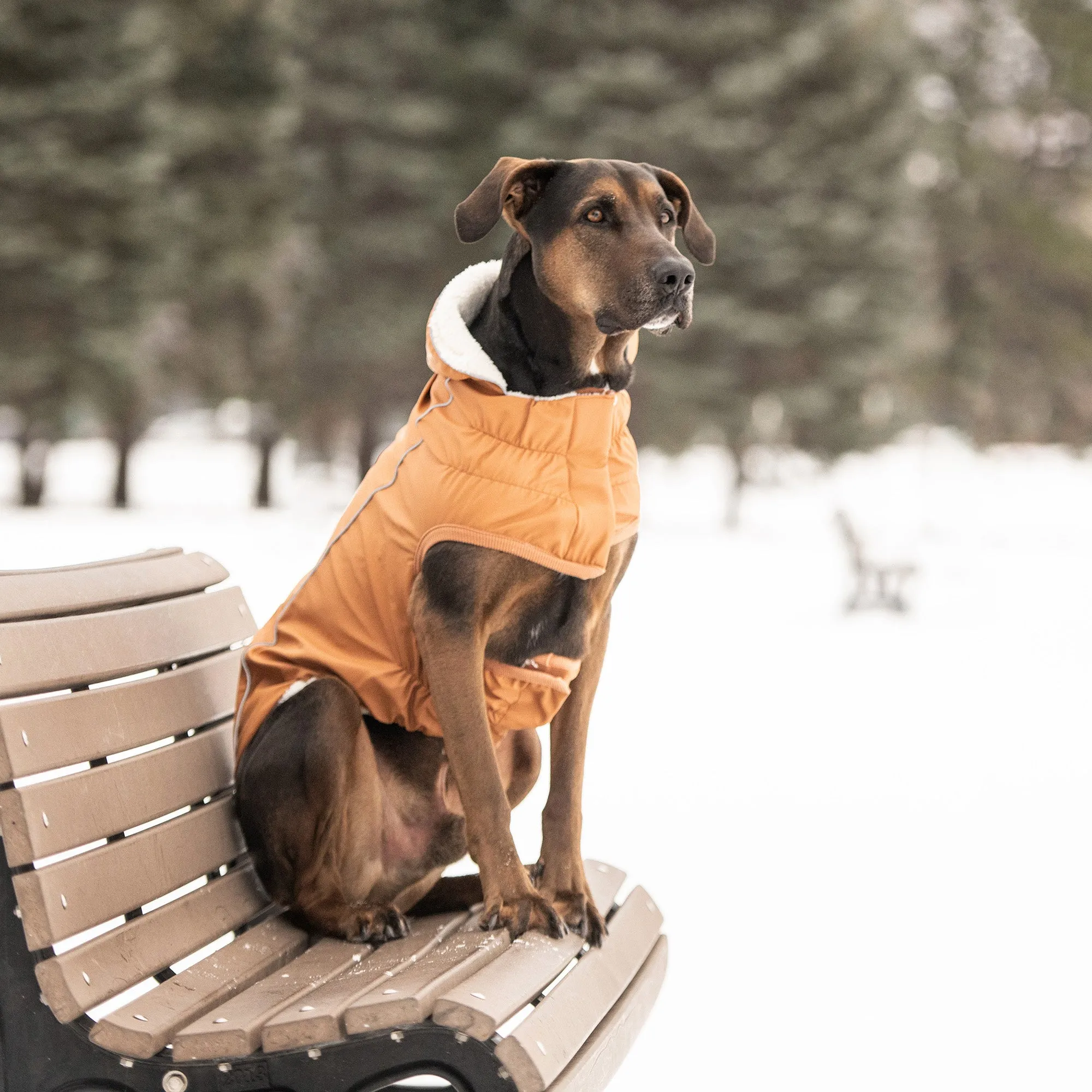 Thermal-Lined Hazel Raincoat – Rain & Cold Weather Defense in One