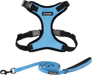 Voyager Step-in Lock Dog Harness w Reflective Dog Leash Combo Set with Neoprene Handle 5ft - Supports Small, Medium and Large Breed Puppies/Cats by Best Pet Supplies - Baby Blue/Black Trim, L
